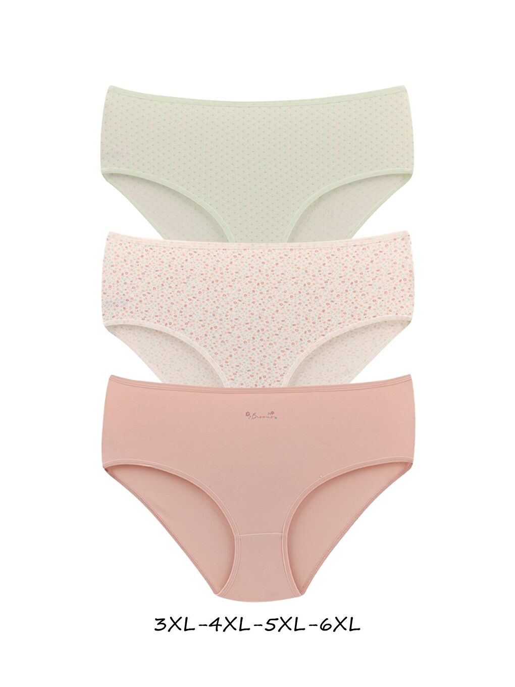 Karışık Kadın Büyük Beden Pamuklu Yüksek Bel Külot 6'lı Paket-2