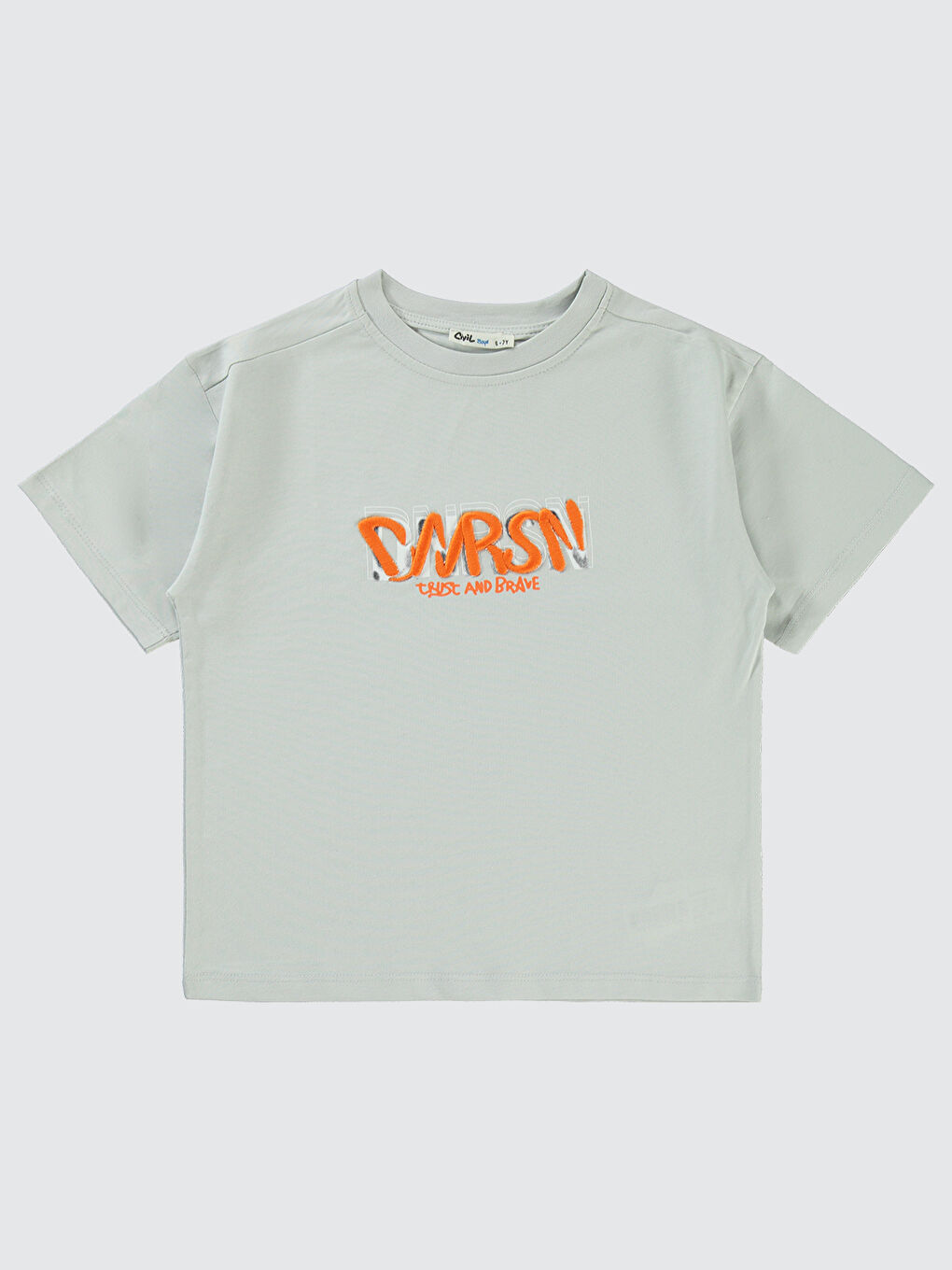 Boys Erkek Çocuk Tişört 6-9 Yaş Açık Gri