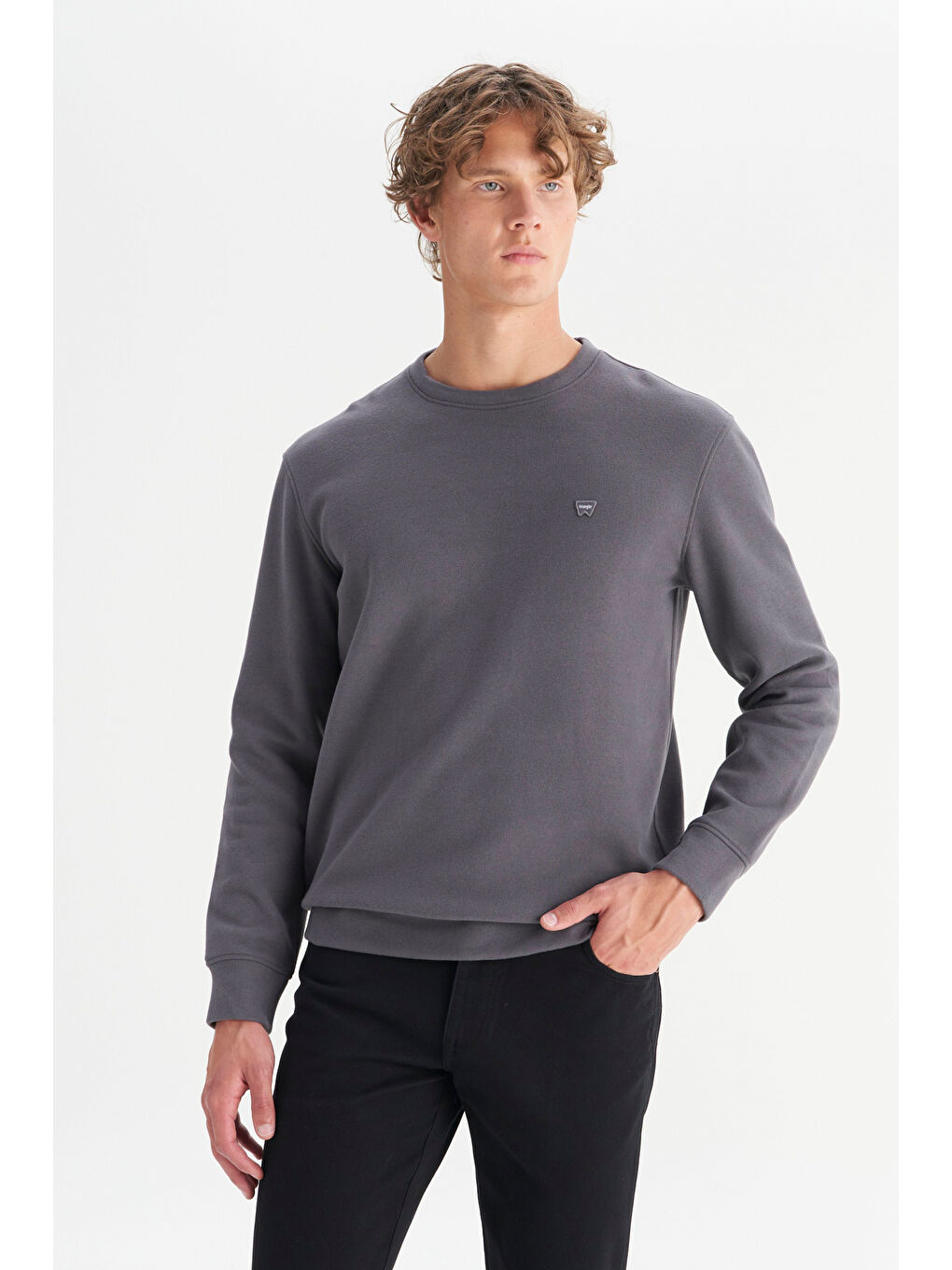Gri Pamuklu Regular Fit Normal Kesim Bisiklet Yaka Selanik Örgü Sweatshirt