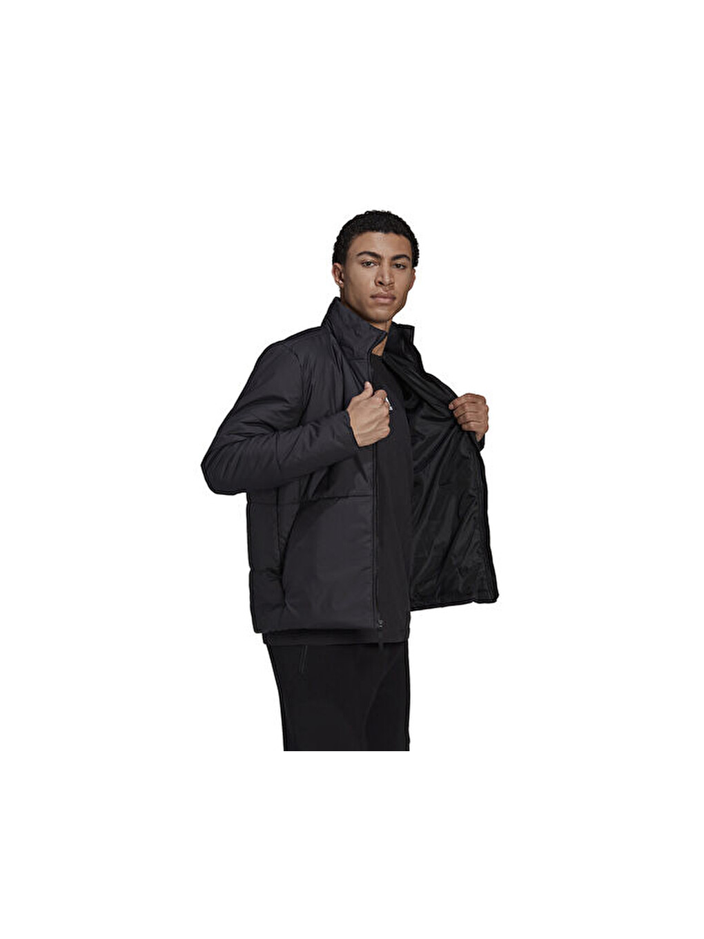 Bsc 3s İns Jkt Erkek Günlük Mont Hg8758 Siyah-2