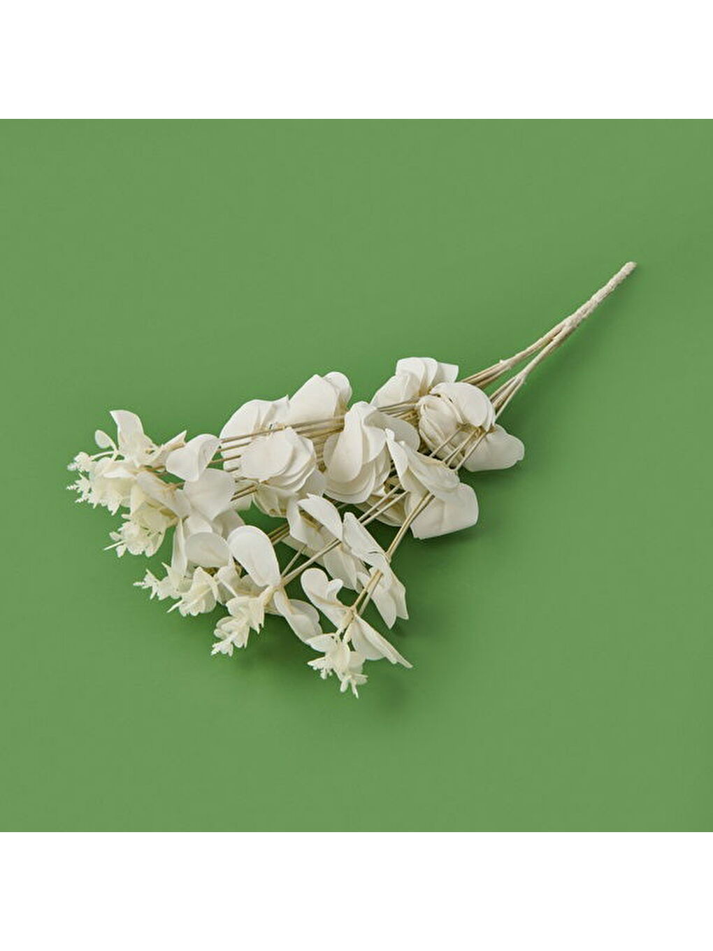 Exclusive Okaliptüs - Beyaz - 47 cm-1