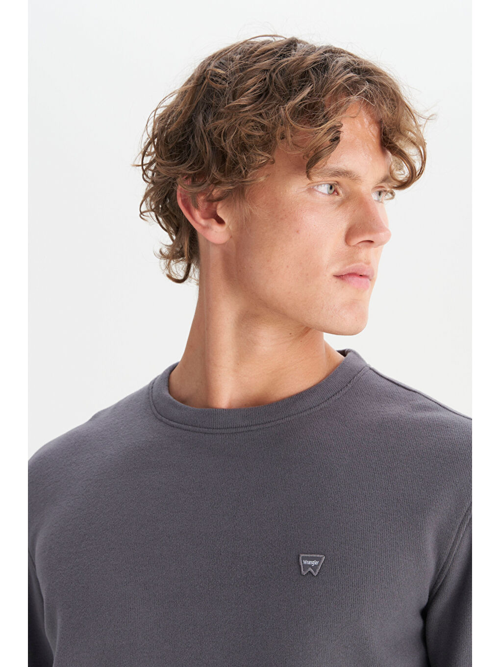 Gri Pamuklu Regular Fit Normal Kesim Bisiklet Yaka Selanik Örgü Sweatshirt-3