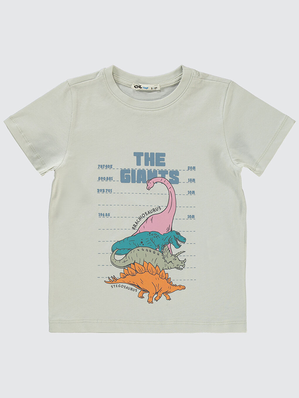 Boys Erkek Çocuk Tişört 2-5 Yaş Açık Gri