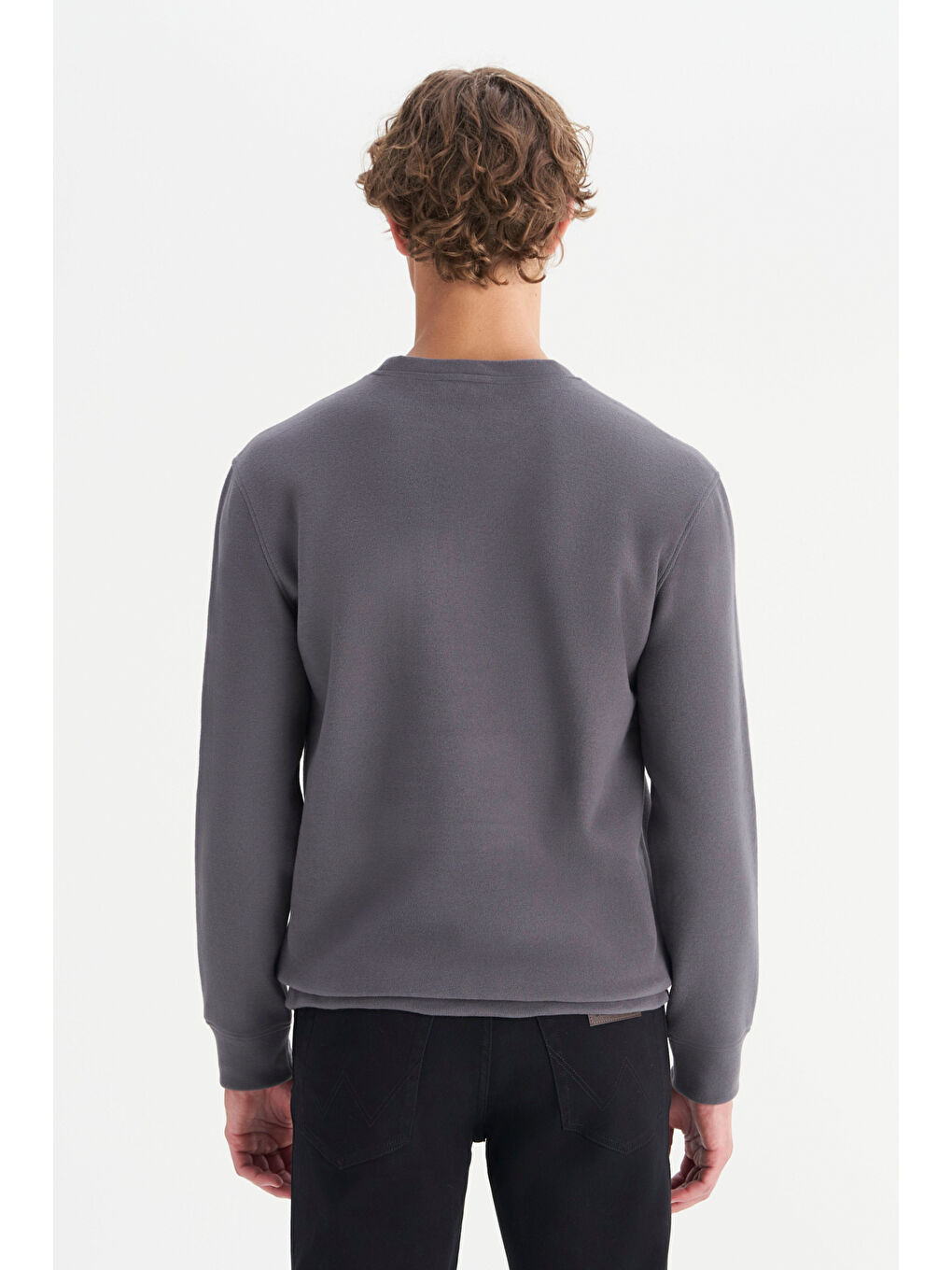 Gri Pamuklu Regular Fit Normal Kesim Bisiklet Yaka Selanik Örgü Sweatshirt-4