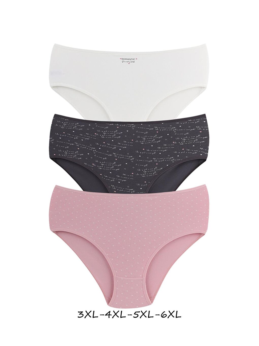 Karışık Kadın Büyük Beden Pamuklu Yüksek Bel Külot 6'lı Paket-1