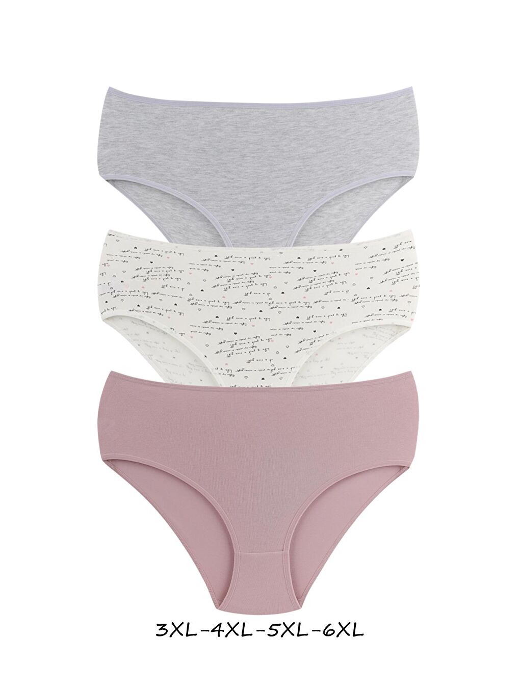 Karışık Kadın Büyük Beden Pamuklu Yüksek Bel Külot 6'lı Paket-2