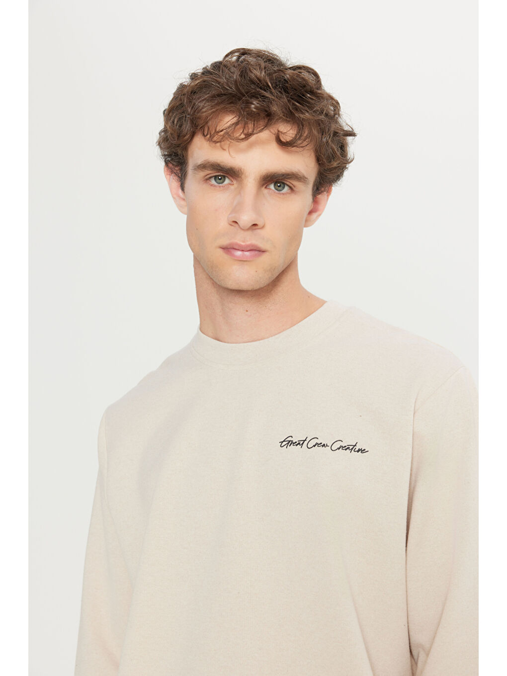 Erkek Bej 2 İplik Pamuklu Standart Fit Normal Kesim Rahat Bisiklet Yaka Sweatshirt-4