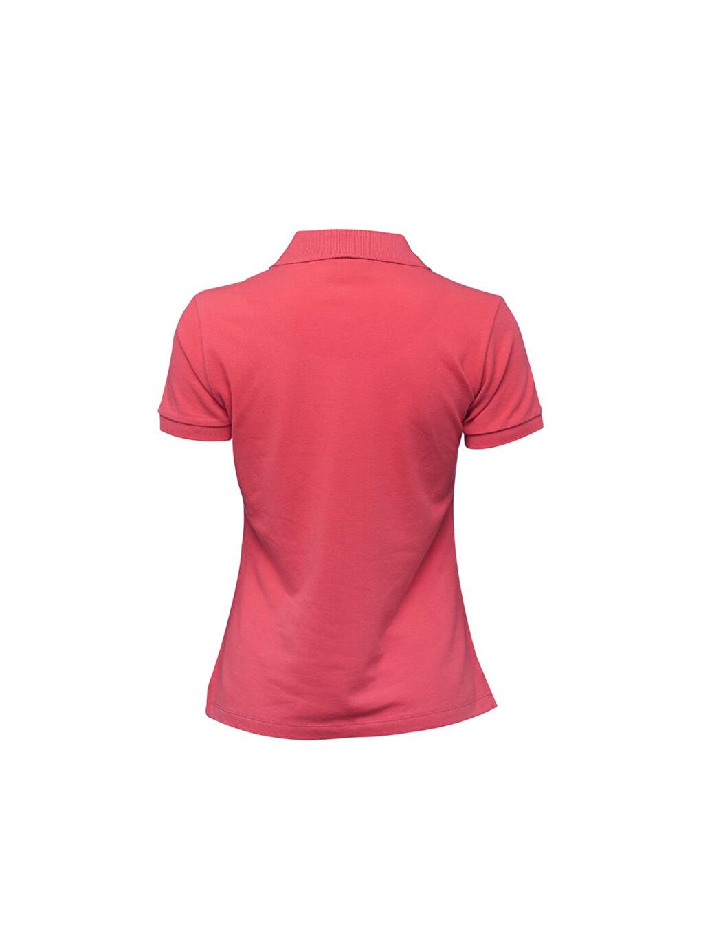 Pembe Gemici Martı Kadın Polo Yaka T-Shirt-1