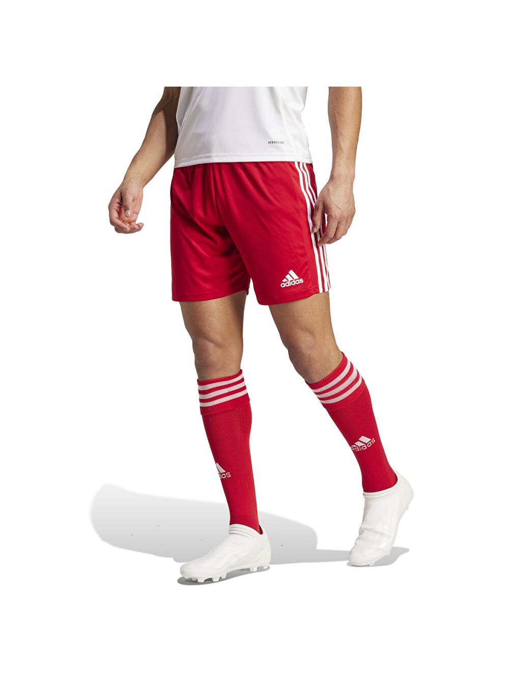 Squadra 21 Erkek Kırmızı Şort