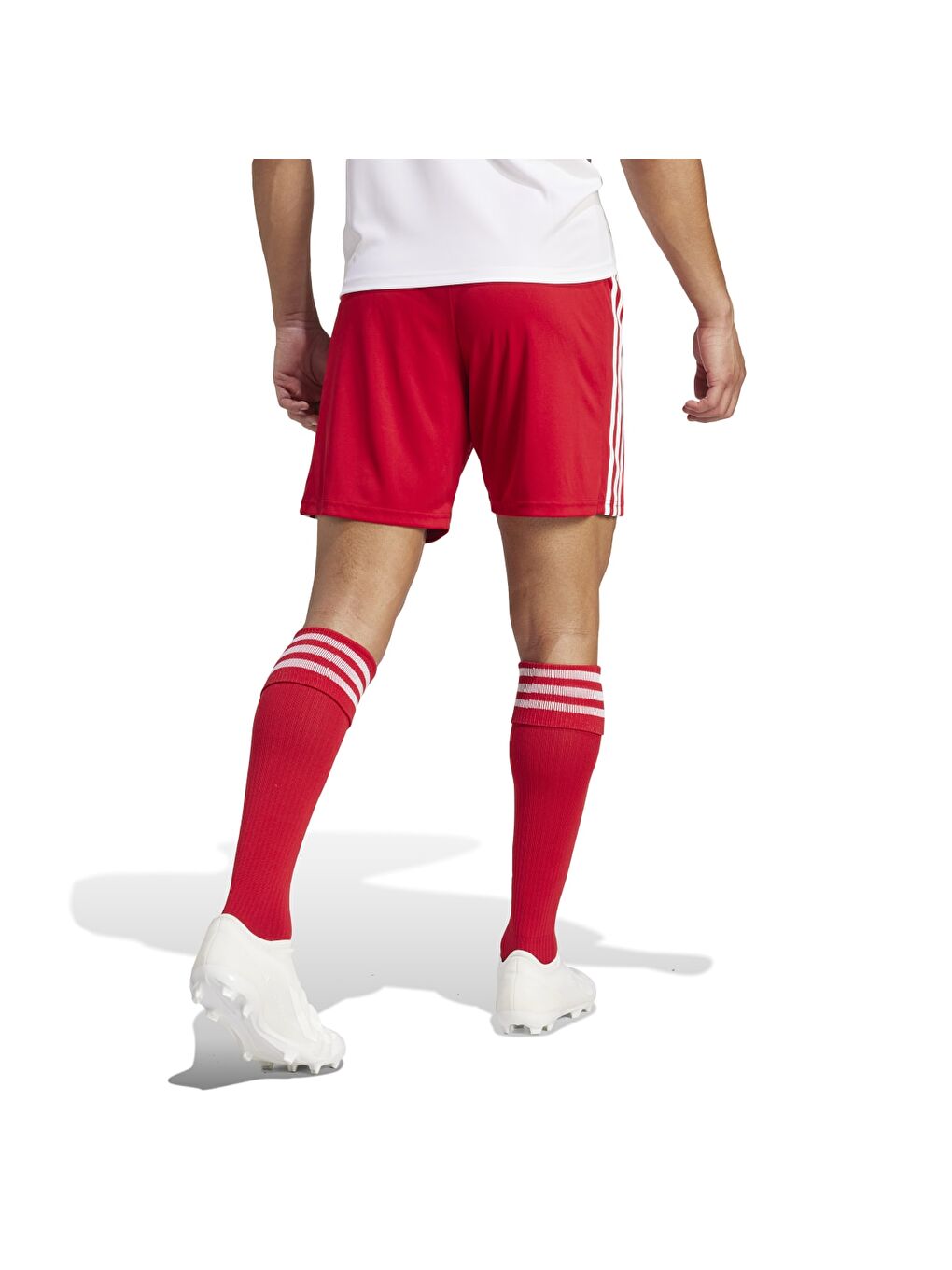 Squadra 21 Erkek Kırmızı Şort-1