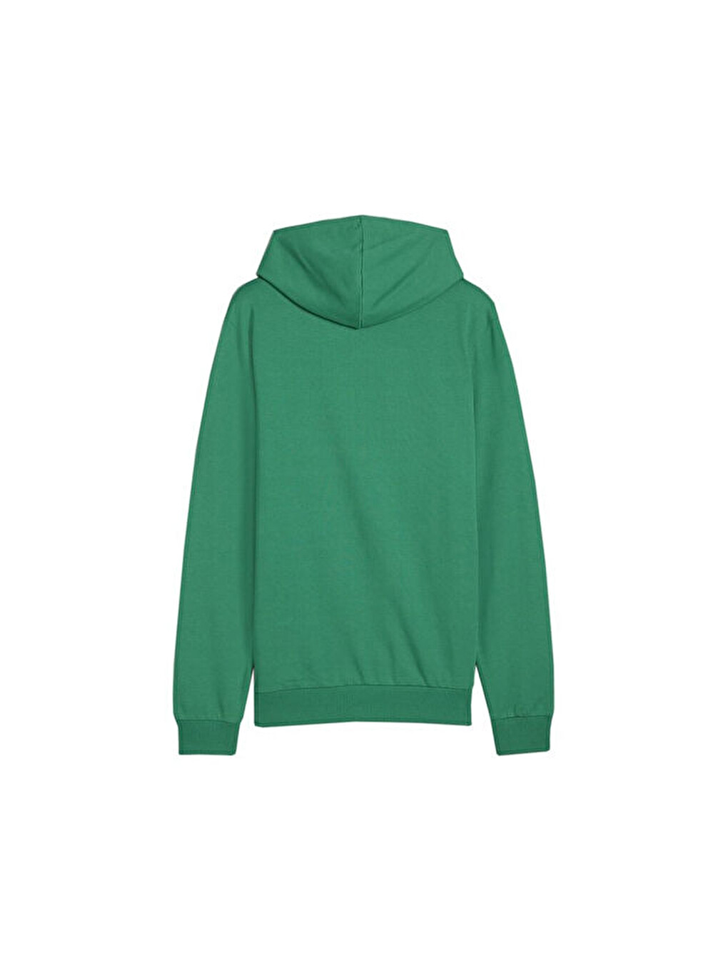 Teamgoal Casuals Hoody Erkek Futbol Antrenman Sweatshirts 65861805 Yeşil-1