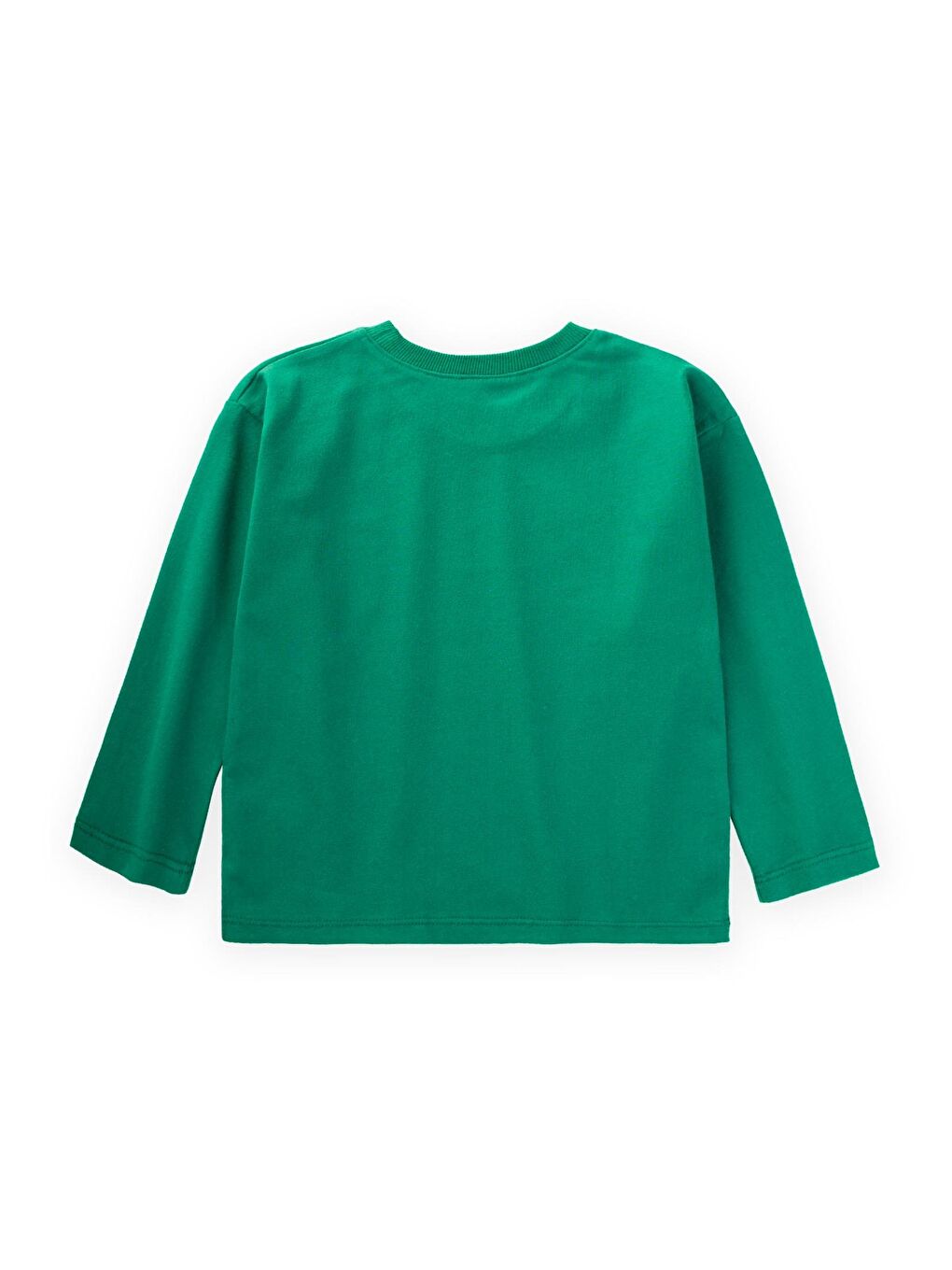 Etiket Detaylı Mevsimlik T-Shırt 2-10 Yaş Yeşil-1