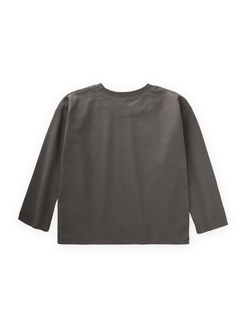 Etiket Detaylı Mevsimlik T-Shırt 2-10 Yaş Haki Yeşil-1