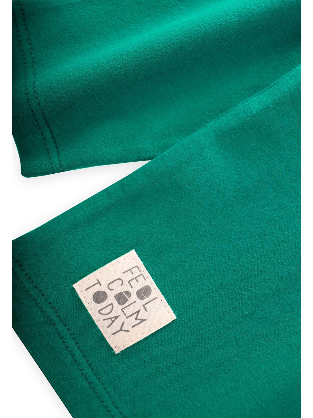 Etiket Detaylı Mevsimlik T-Shırt 2-10 Yaş Yeşil-2