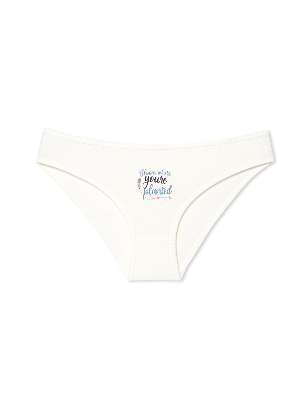 Karışık Pamuklu Desenli ve Baskılı Slip Kadın Külot 3'lü Paket-1