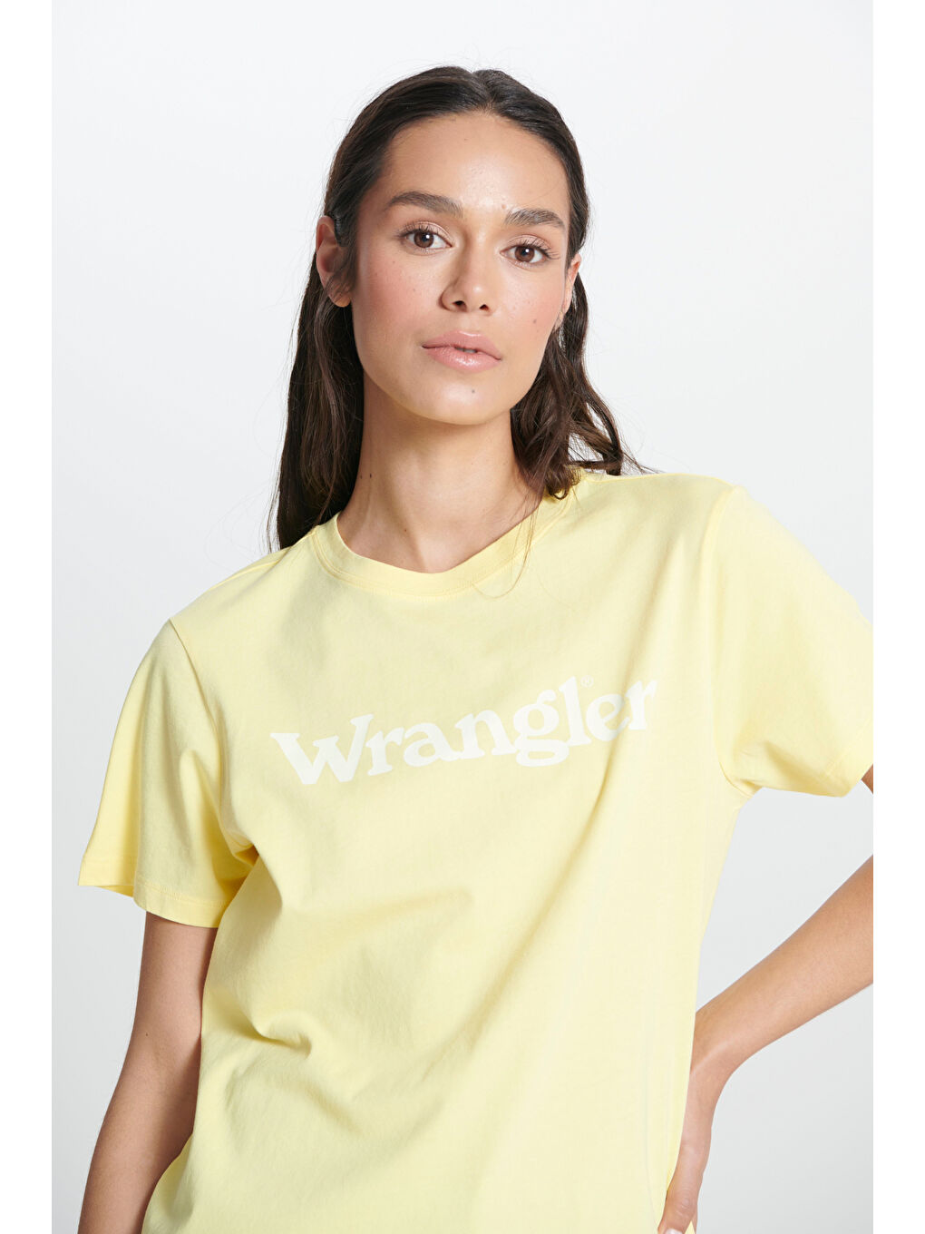 Sarı Regular Fit Normal Kesim Kısa Kollu Bisiklet Yaka %100 Pamuk Logolu Tshirt-1