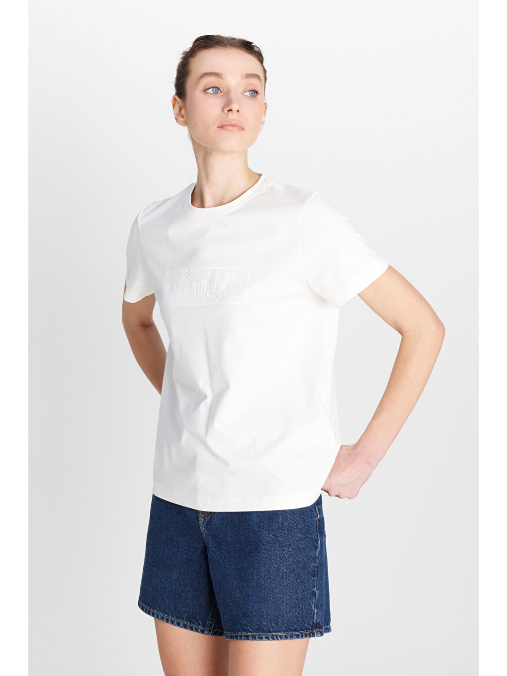 Regular Fit Normal Kesim Bisiklet Yaka %100 Pamuk Kırık Beyaz Tişört-1