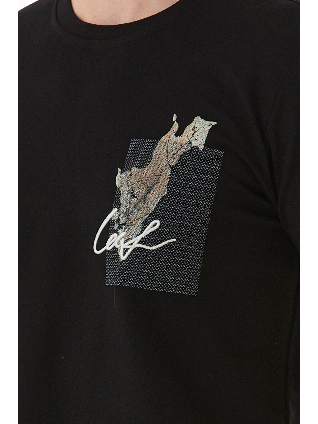 Siyah Yaprak Baskılı Yazı Nakışlı Tişört-4