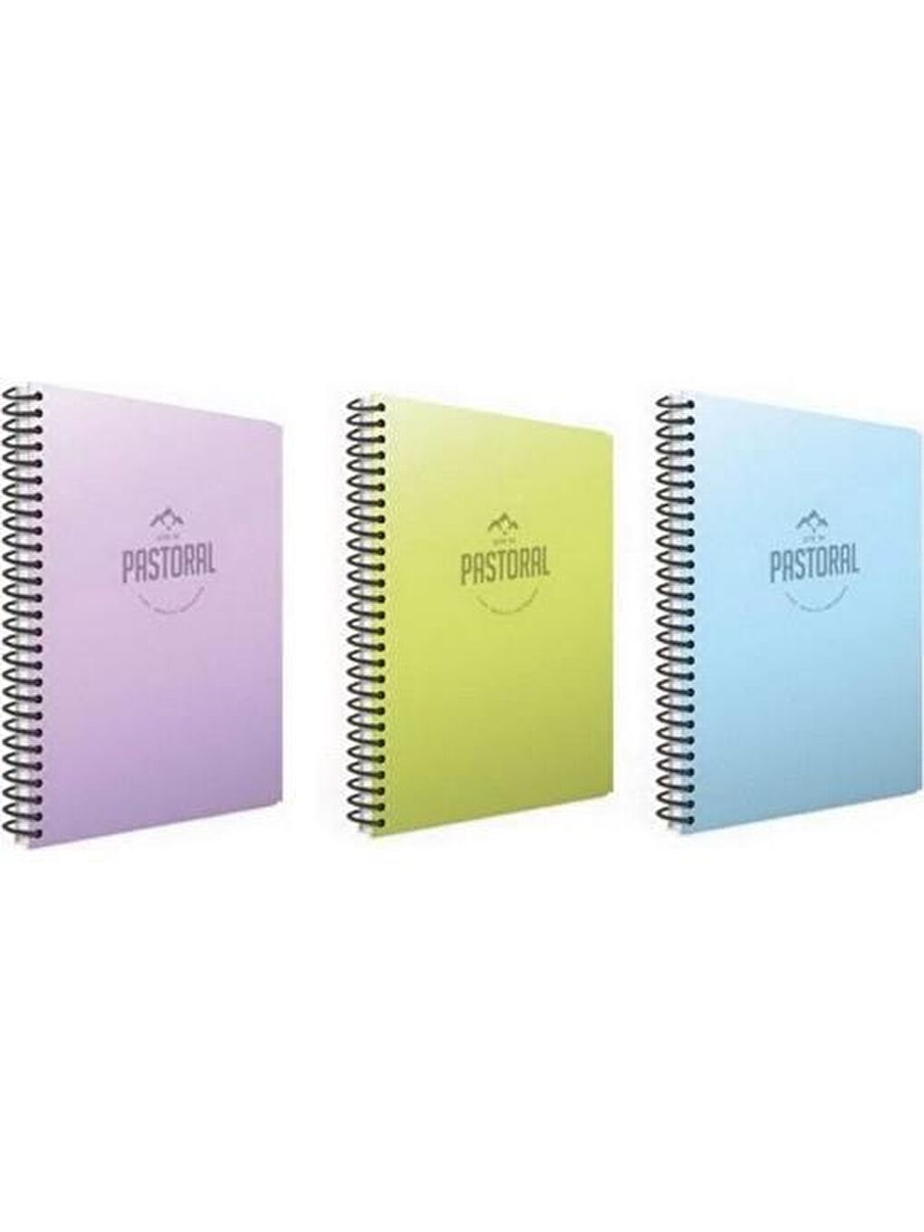 Gıpta Karışık Asorti Pastoral 17x24 96 Yaprak Plastik Kapak Spiralli Defter 2 Kareli + 1 Çizgili