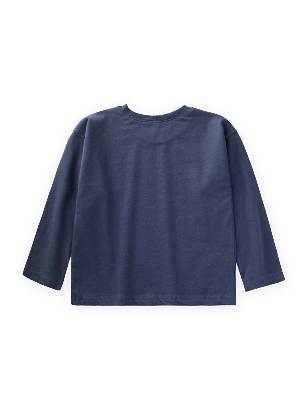 Etiket Detaylı Mevsimlik T-Shırt 2-10 Yaş Lacivert-1