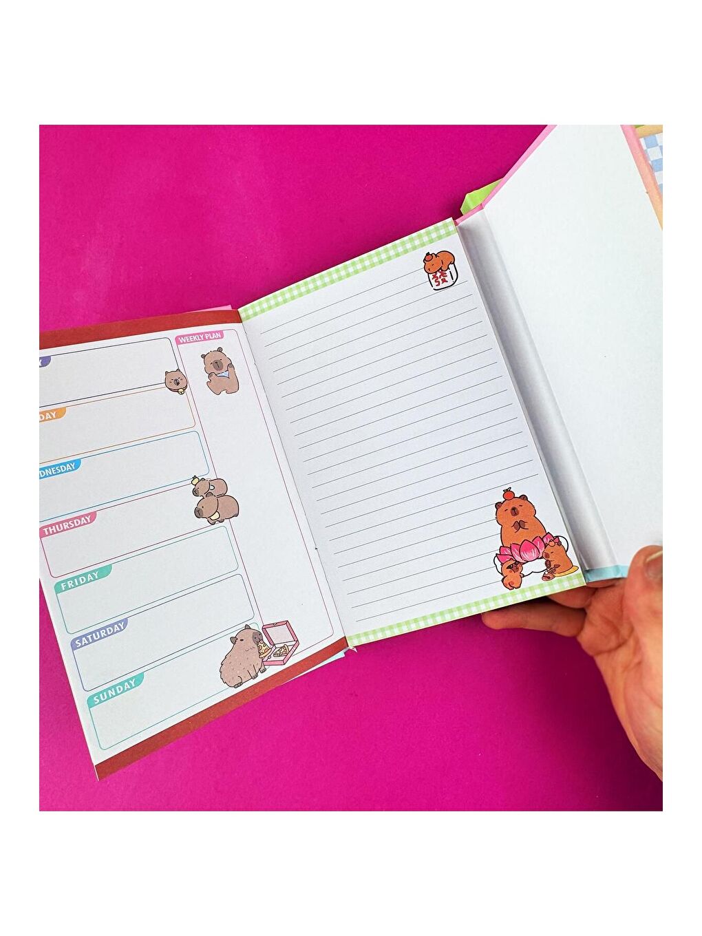 BAM HEDİYELİK EŞYA Capybara Mıknatıs Kapaklı Defter - 1