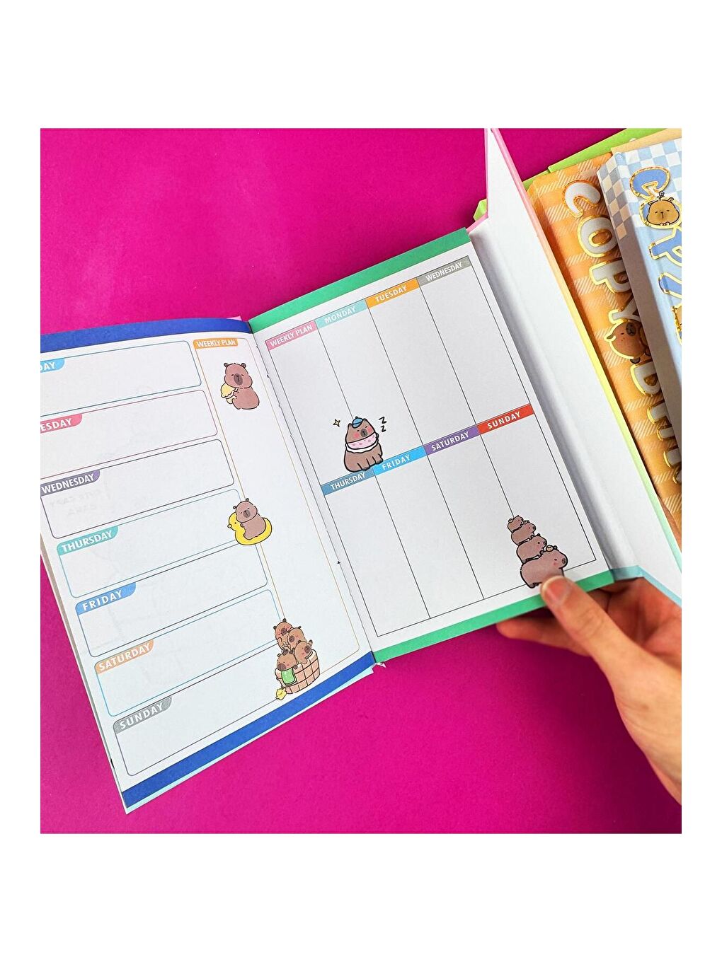 BAM HEDİYELİK EŞYA Capybara Mıknatıs Kapaklı Defter - 2