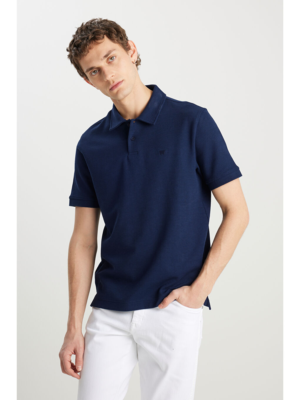 Regular Fit Normal Kesim Lacivert Polo Yaka Tişört-1
