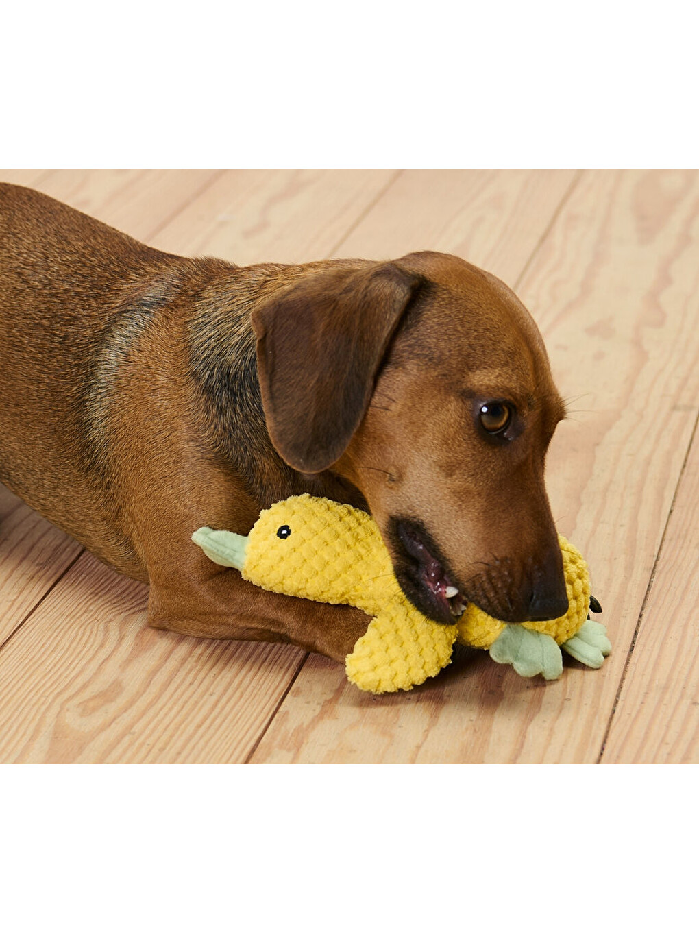 Pelüş Köpek Oyuncağı Küçük Ördek-2