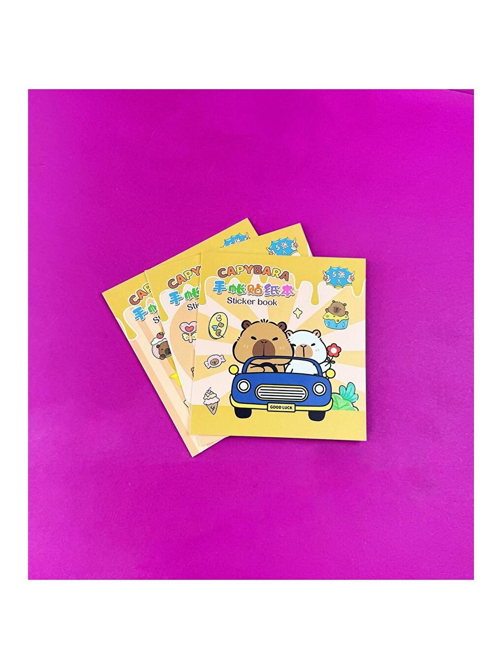 BAM HEDİYELİK EŞYA 3 lü Capybara Sticker Book