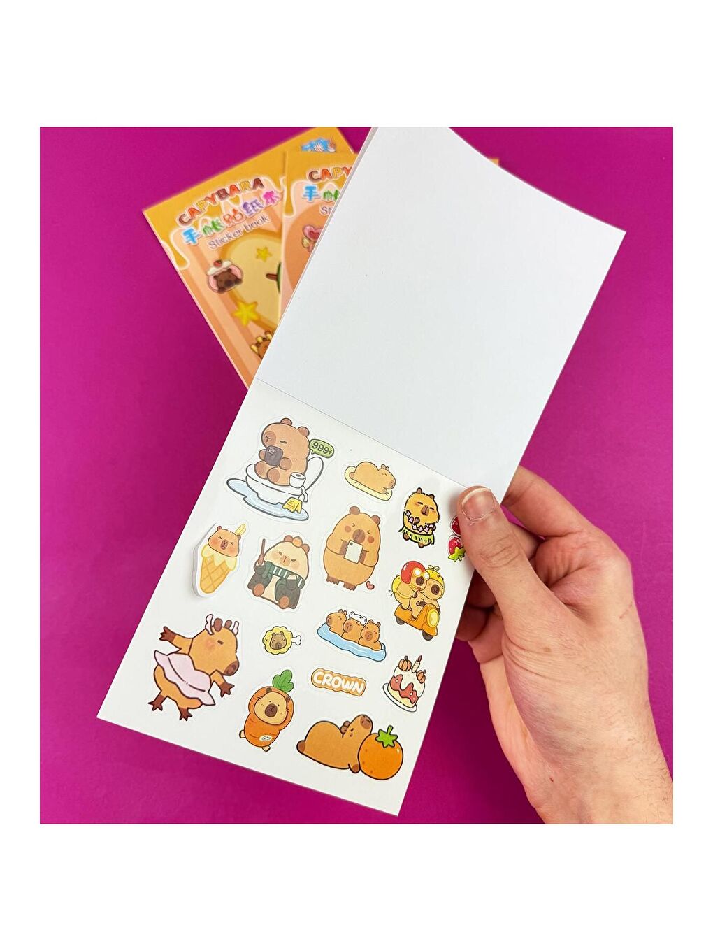 BAM HEDİYELİK EŞYA 3 lü Capybara Sticker Book - 2
