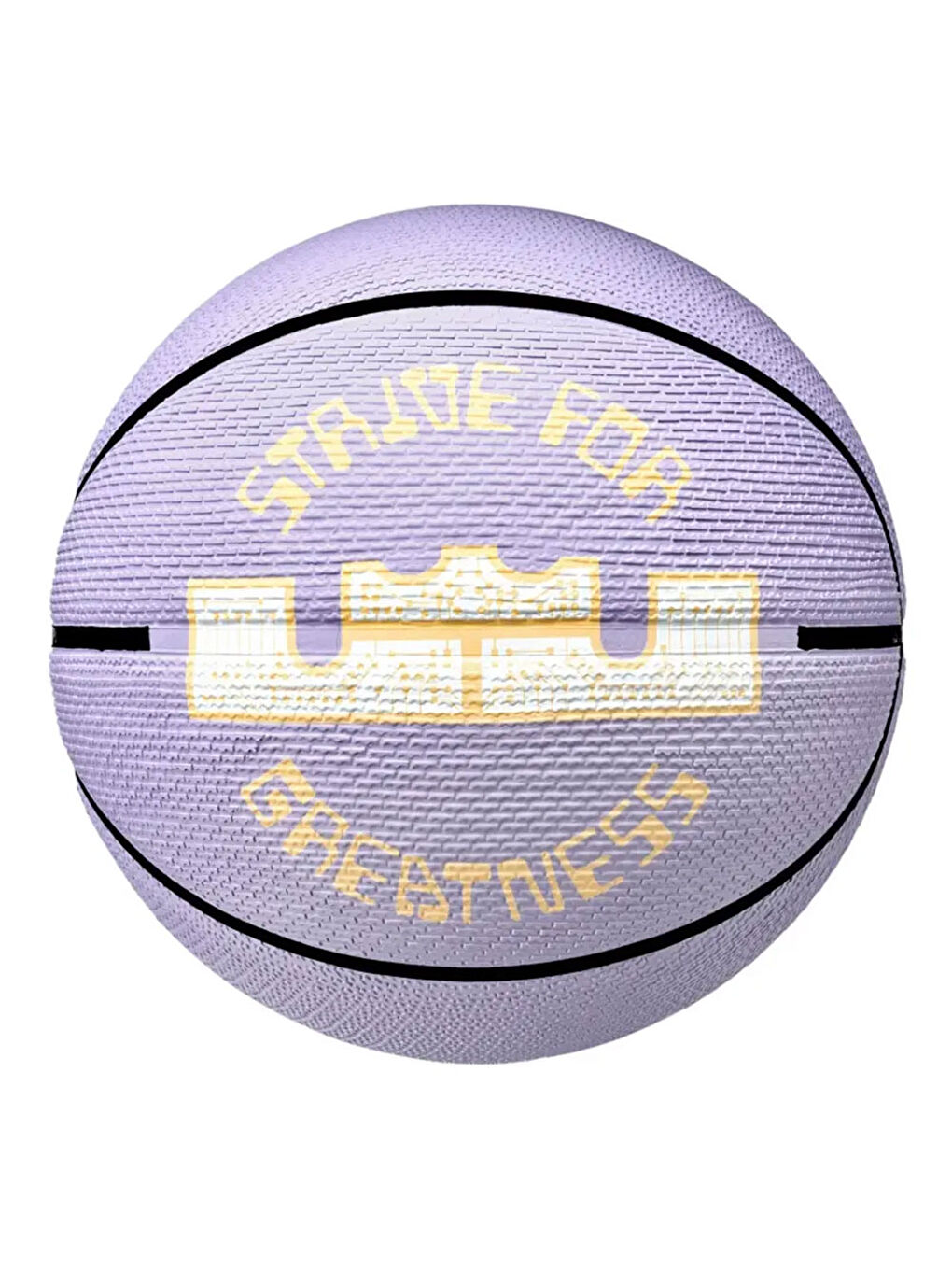 Renksiz Playground 2.0 8P L. James Mor Basketbol Topu N.100.4372.517.07-1