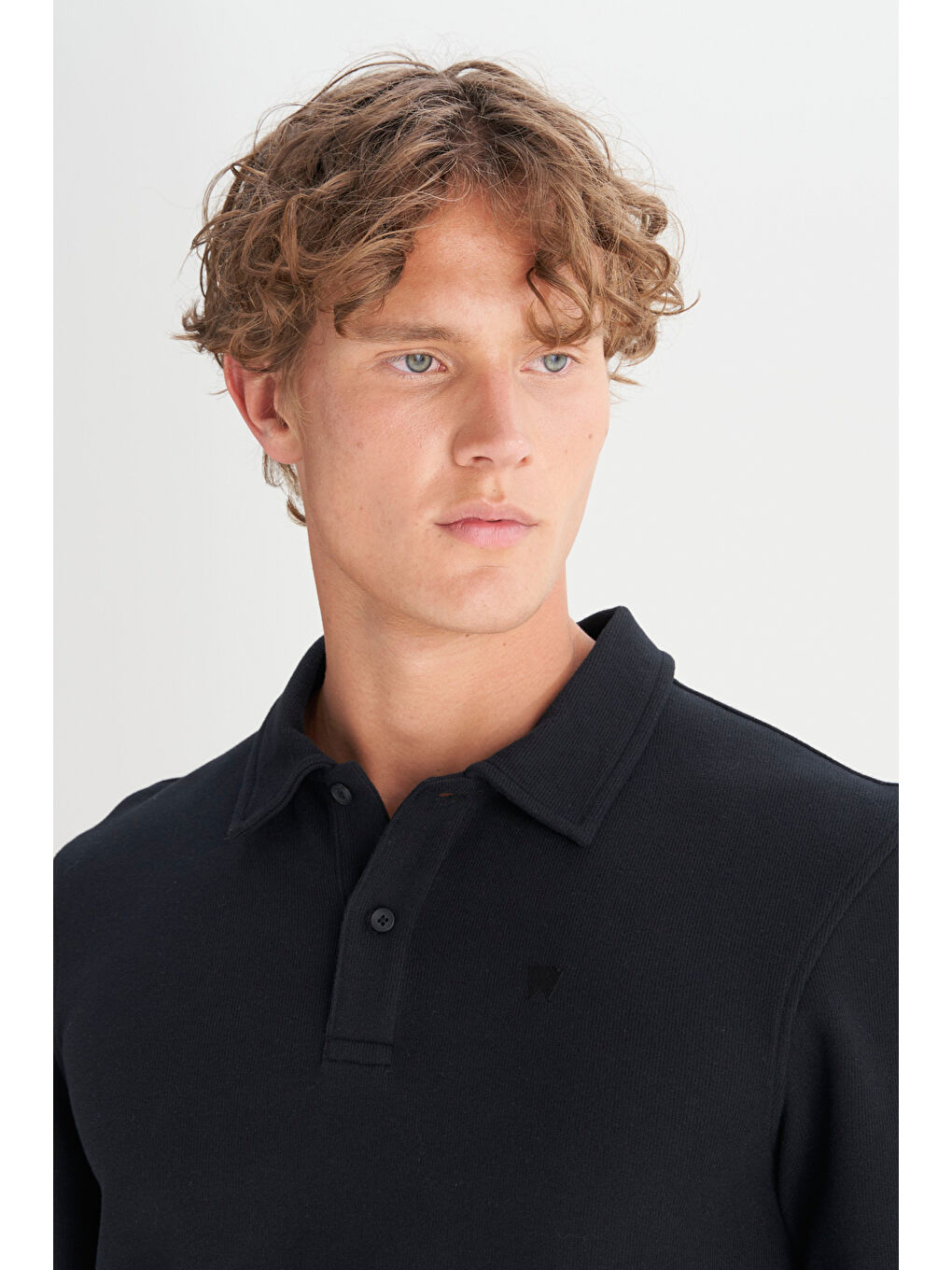 Siyah Pamuklu Regular Fit Normal Kesim Polo Yaka Tişört-3