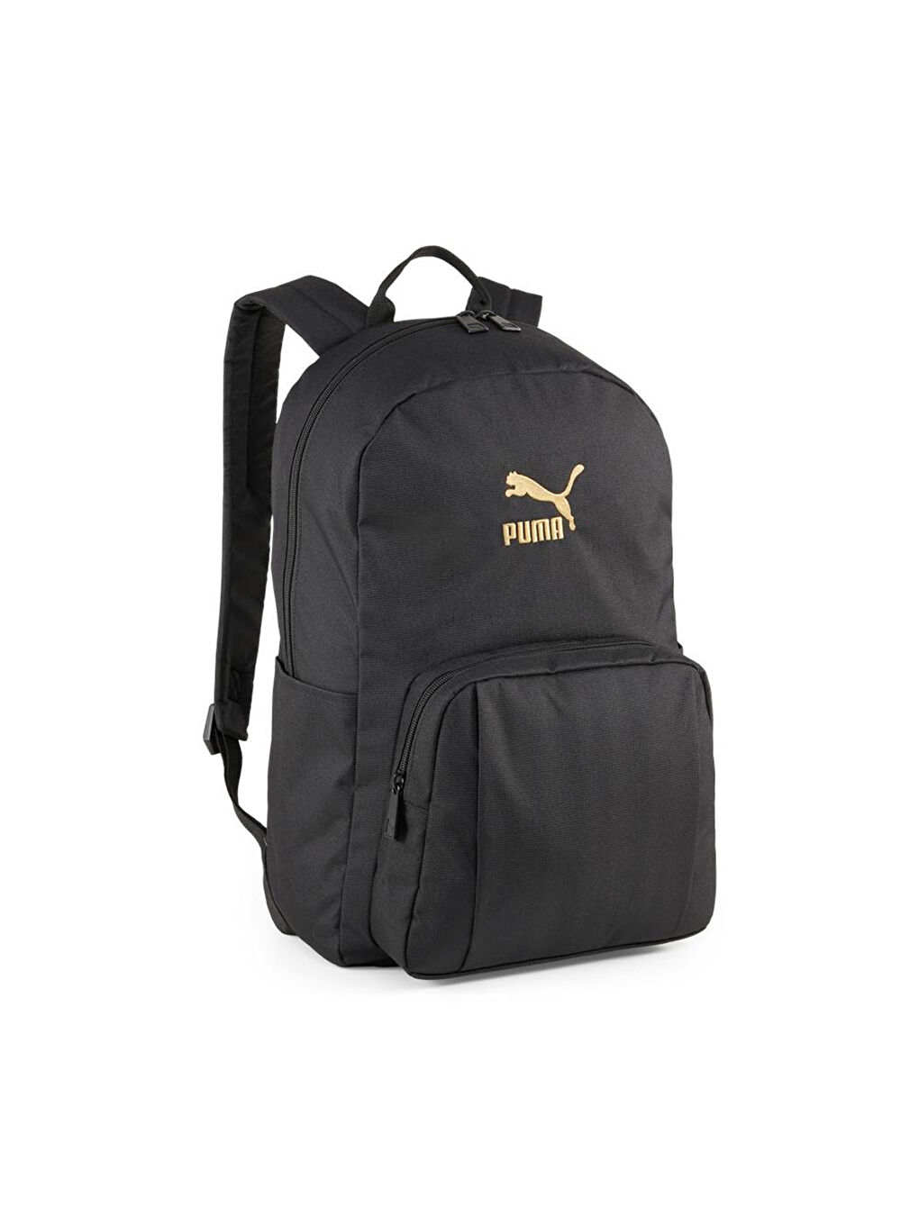 Classics Archive Siyah Sırt Çantası