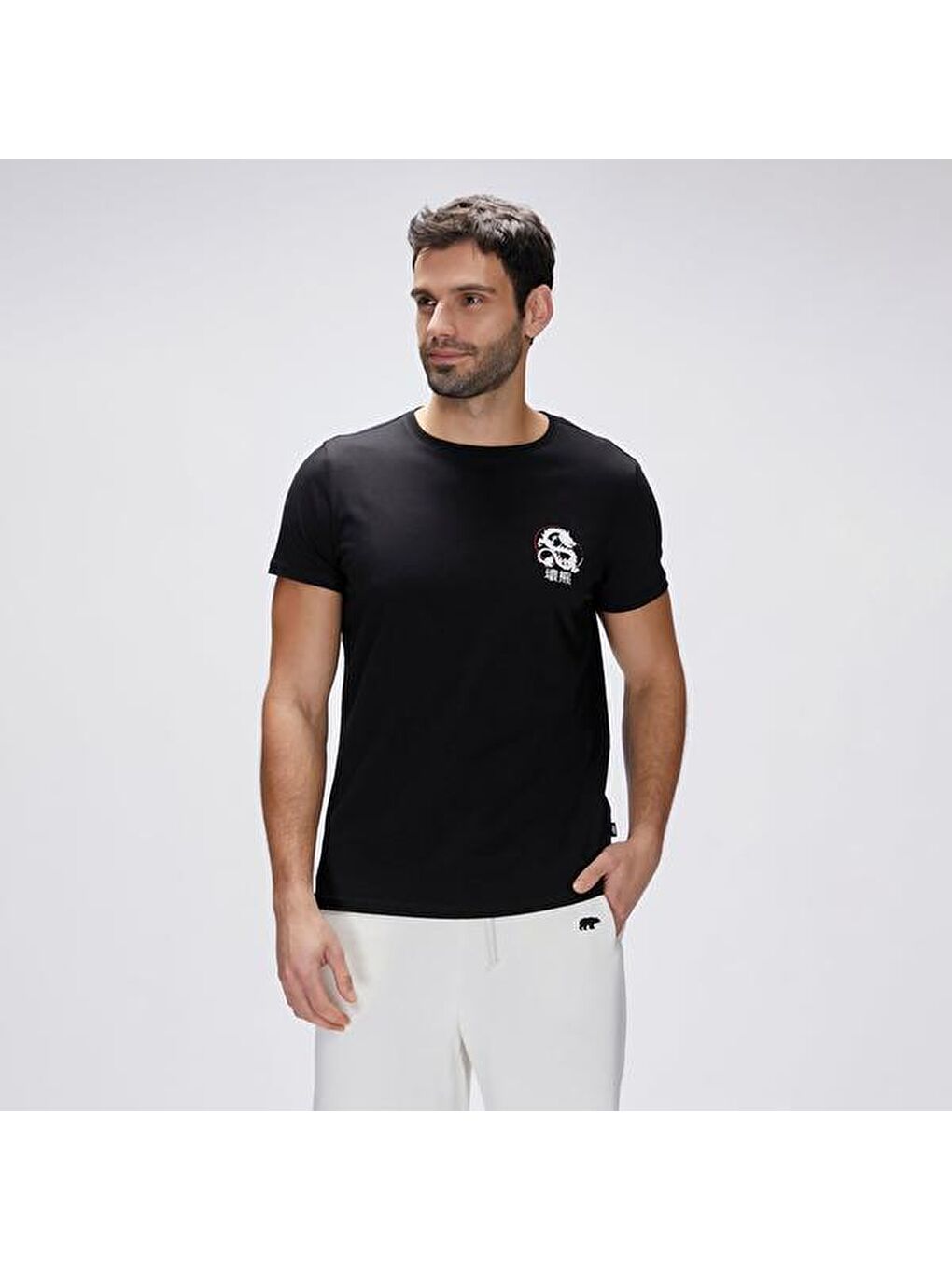 Draco Erkek Siyah Yuvarlak Yaka Tişört-2