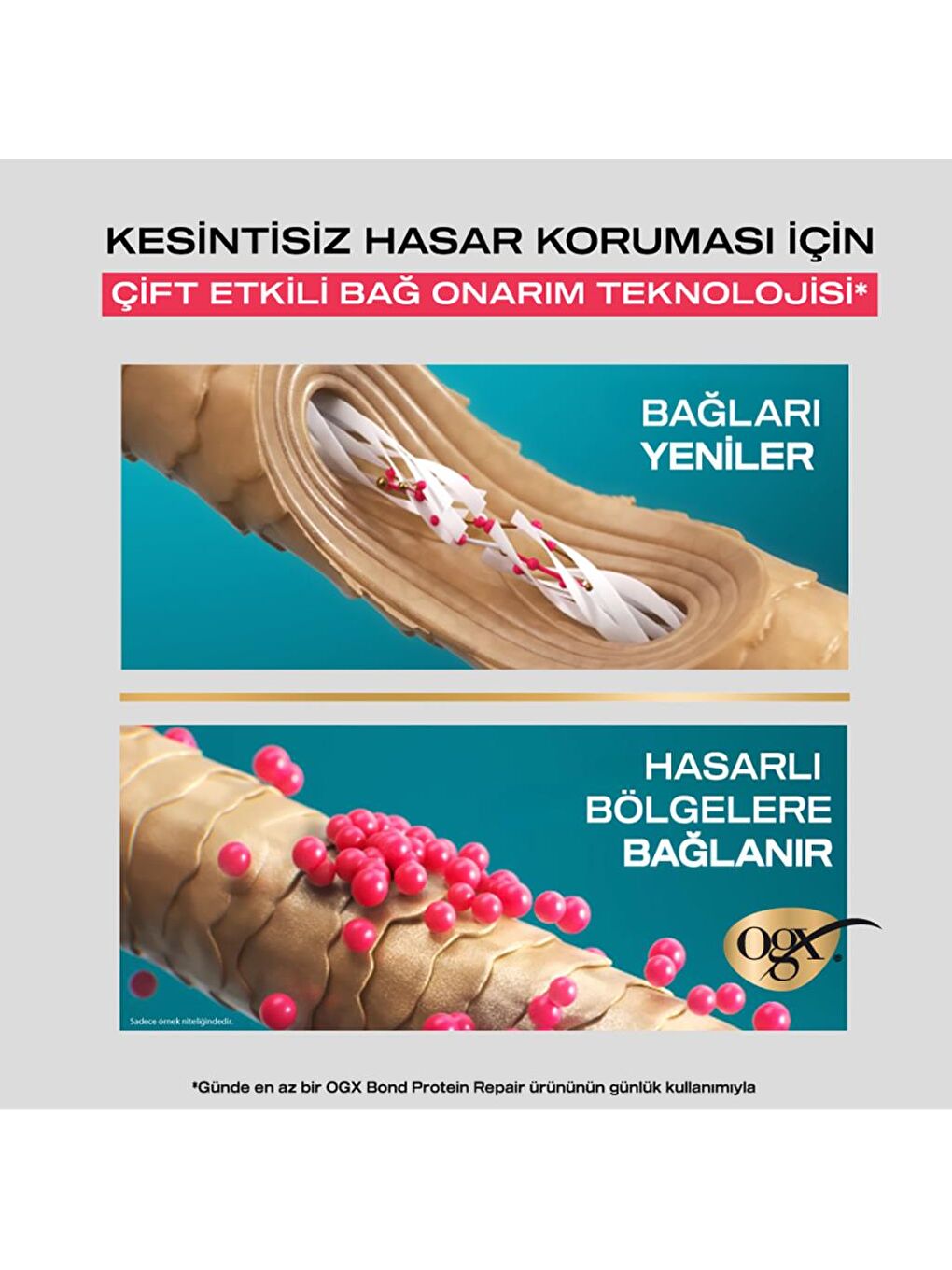 Bond Protein Repair 3 Etkili Yağ 50 ml-1