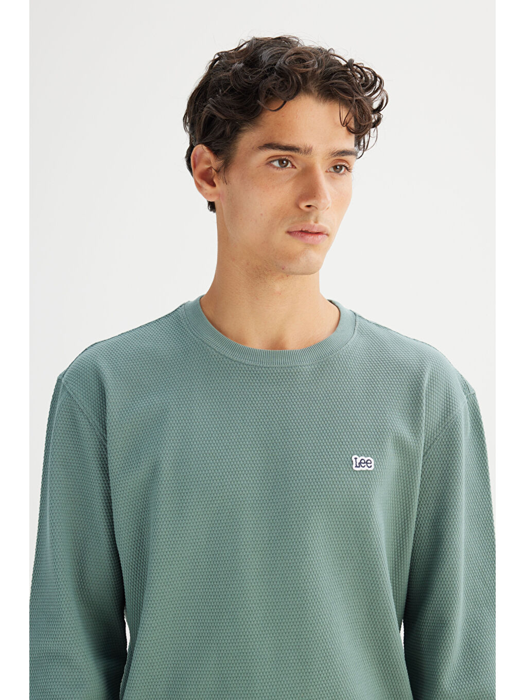 Haki %100 Pamuk Regular Fit Normal Kesim Bisiklet Yaka Logo Detaylı Sweatshirt-3