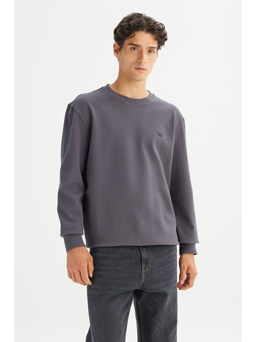 Gri %100 Pamuk Regular Fit Normal Kesim Bisiklet Yaka Logo Detaylı Sweatshirt