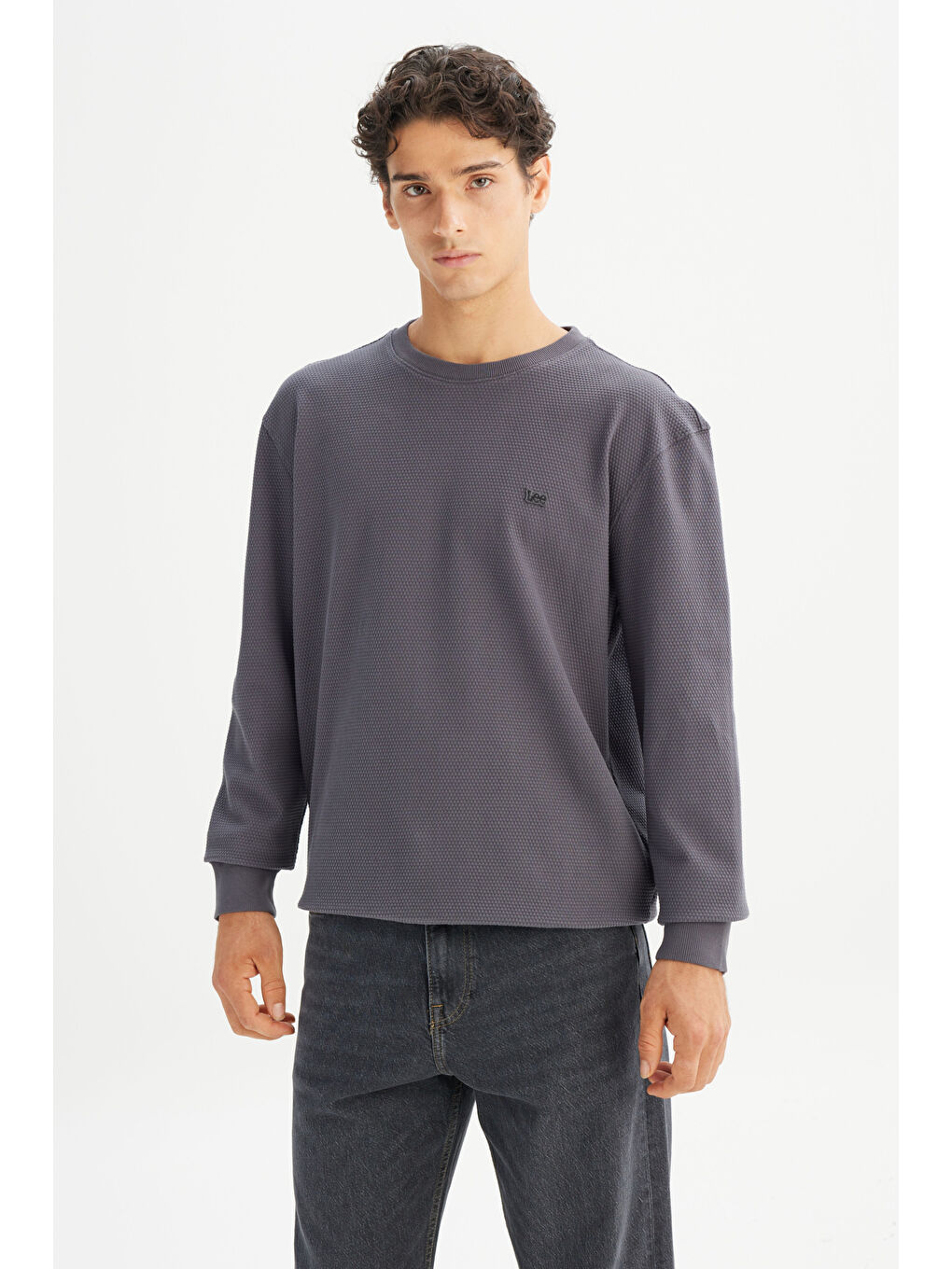 Gri %100 Pamuk Regular Fit Normal Kesim Bisiklet Yaka Logo Detaylı Sweatshirt-2