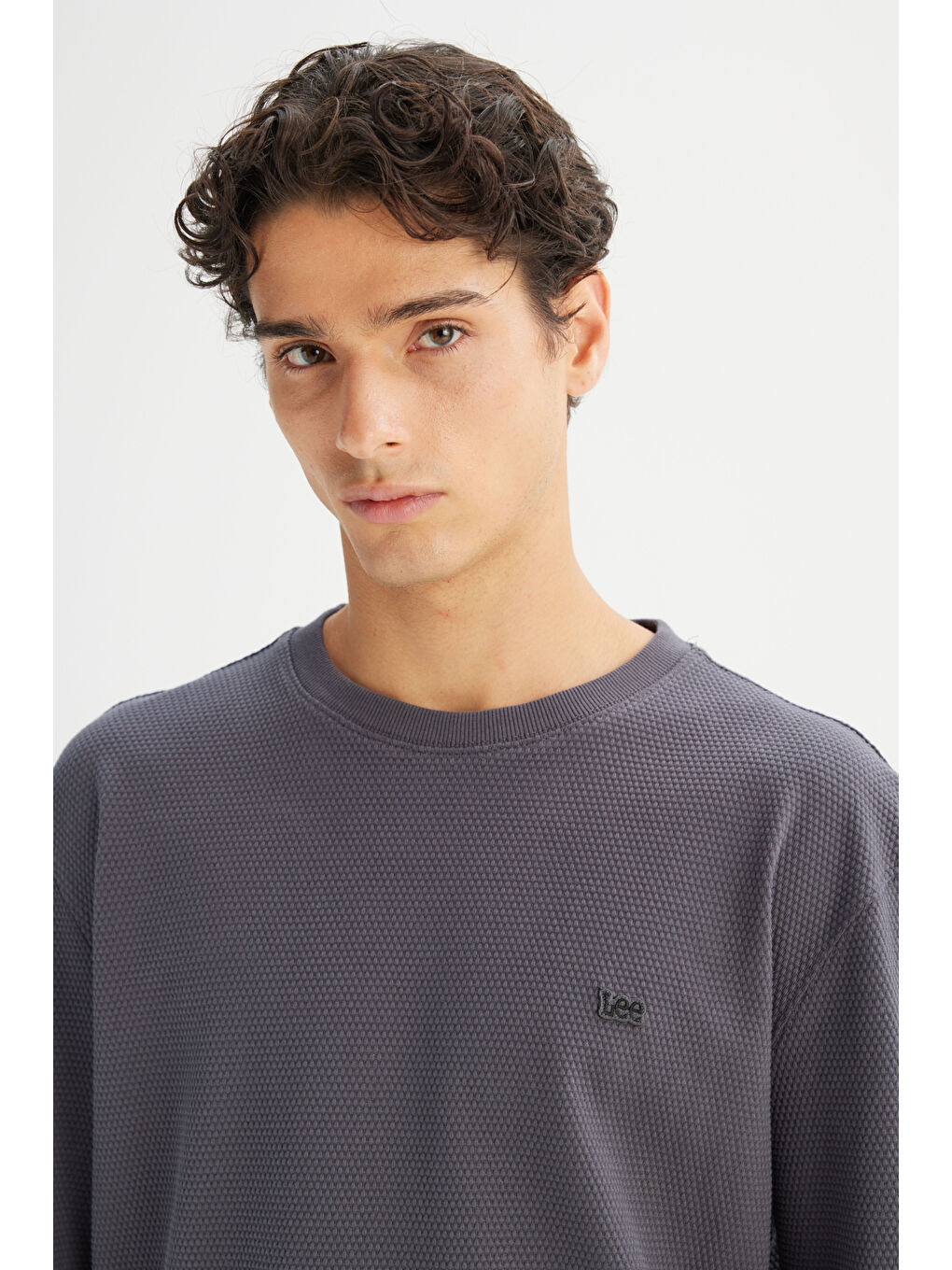 Gri %100 Pamuk Regular Fit Normal Kesim Bisiklet Yaka Logo Detaylı Sweatshirt-3