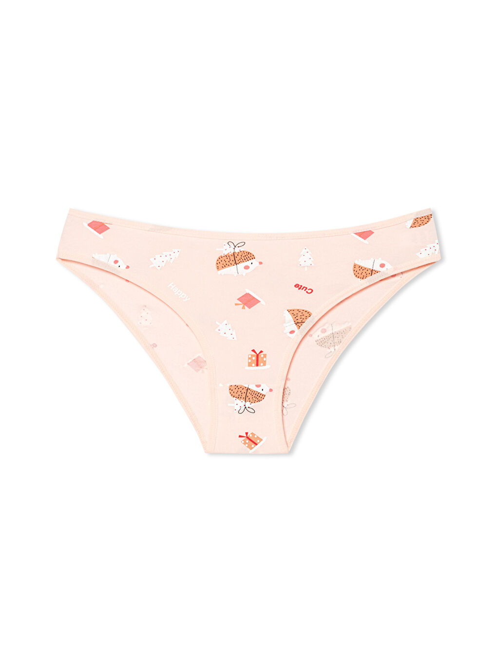 Karışık Pamuklu Desenli ve Baskılı Slip Kadın Külot 3'lü Paket-1