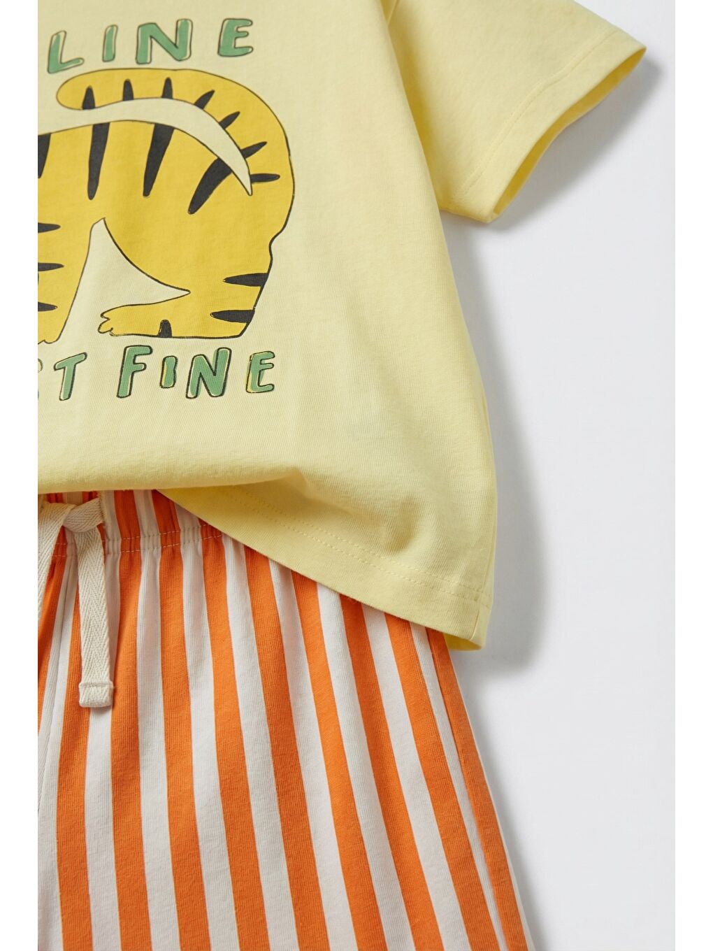 Karışık Unisex Çocuk Pamuklu Sarı Kaplan Baskılı Tişört Şort Takım-2