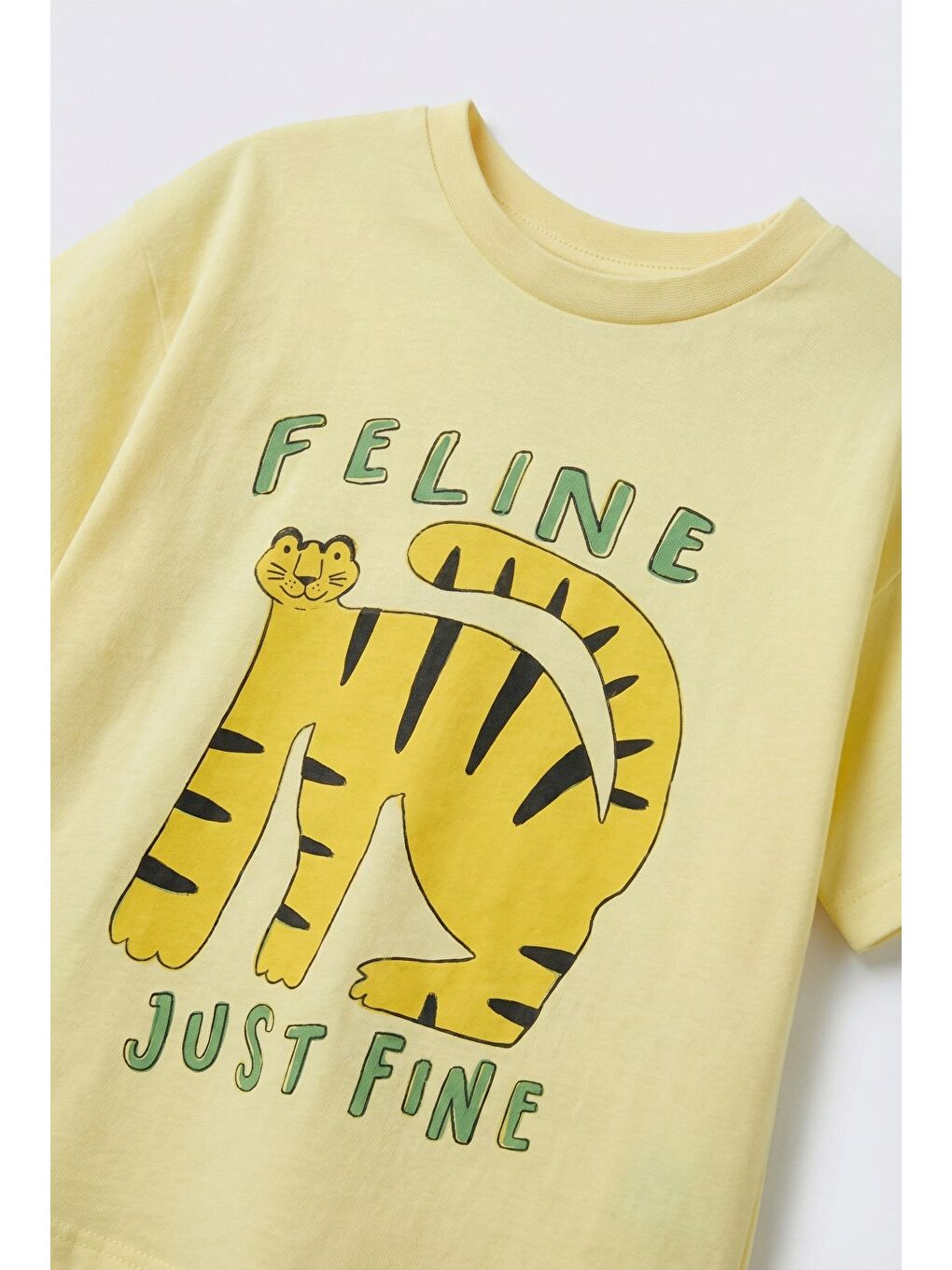 Karışık Unisex Çocuk Pamuklu Sarı Kaplan Baskılı Tişört Şort Takım-3