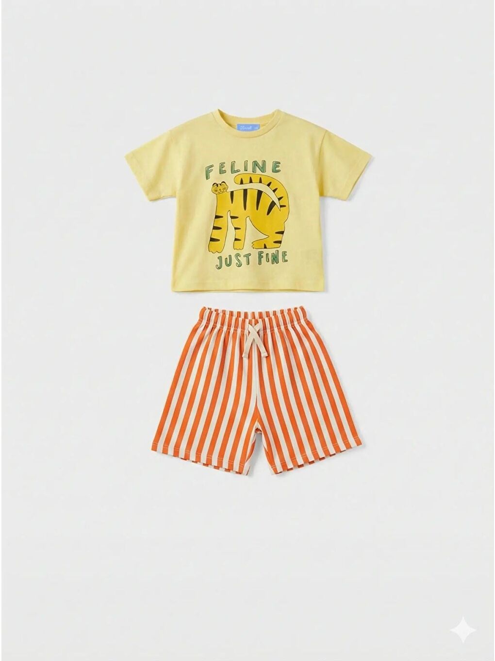 Karışık Unisex Çocuk Pamuklu Sarı Kaplan Baskılı Tişört Şort Takım-4