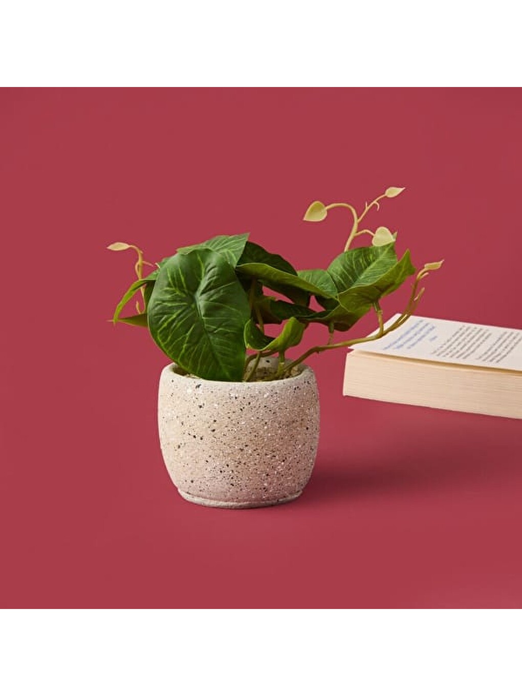 Karışık Saksıda Yapraklar - Asorti - 20x9x9 cm-1
