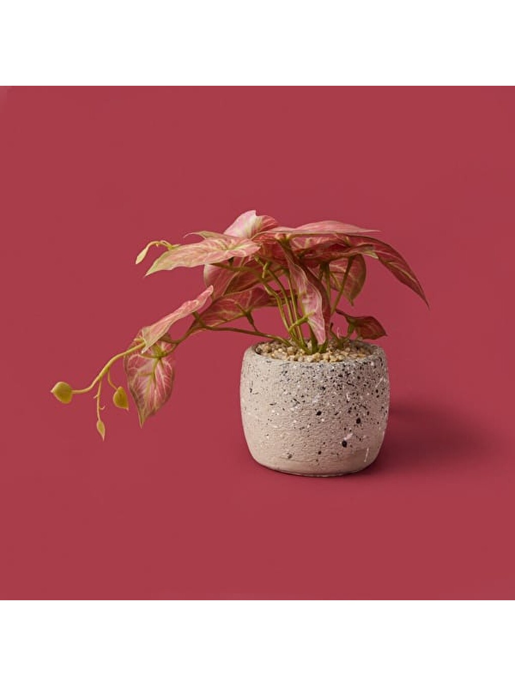 Karışık Saksıda Yapraklar - Asorti - 20x9x9 cm-2