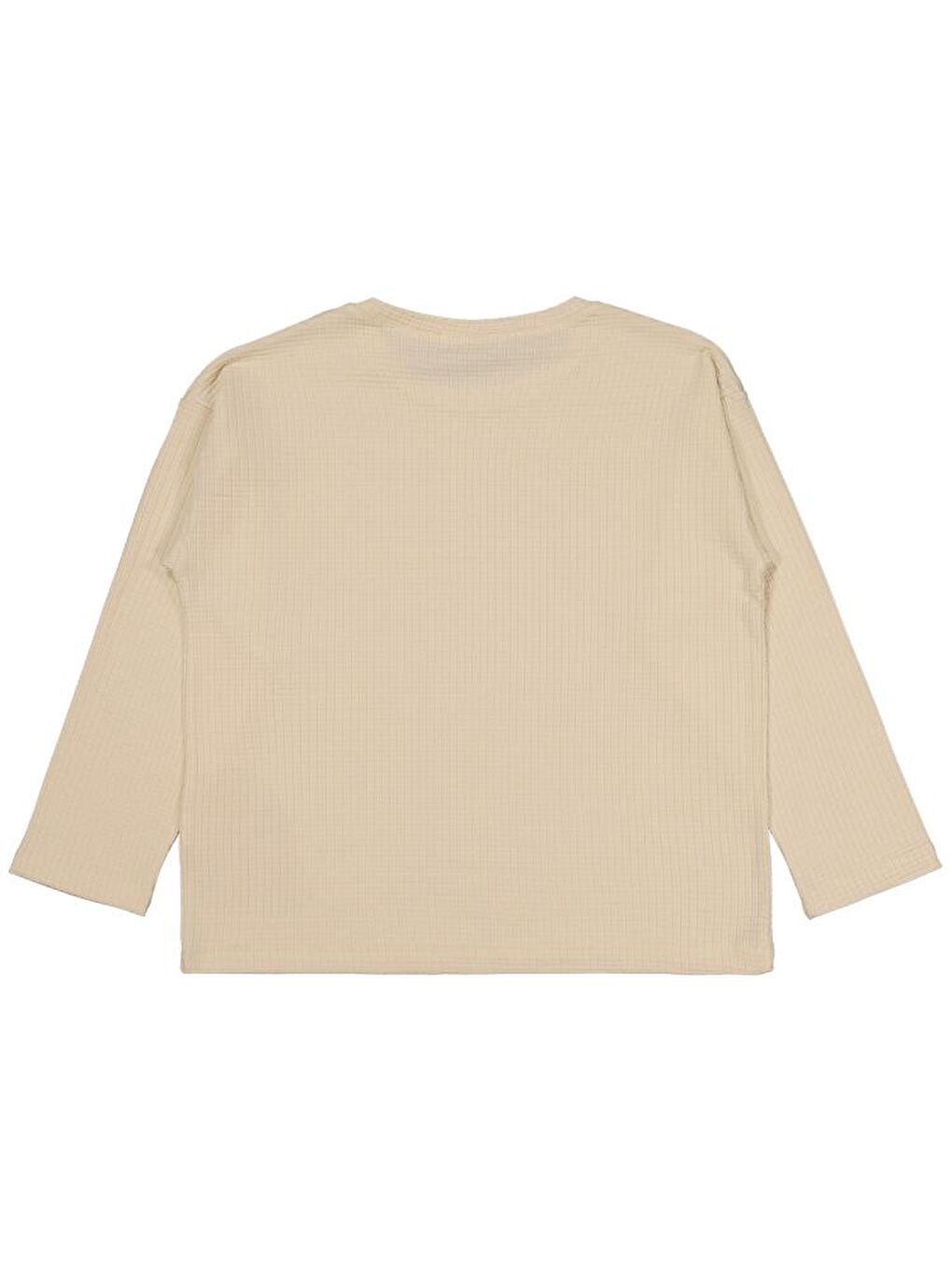 Bej Boys Jakar Petek 6-9 Yaş Sweatshirt-1