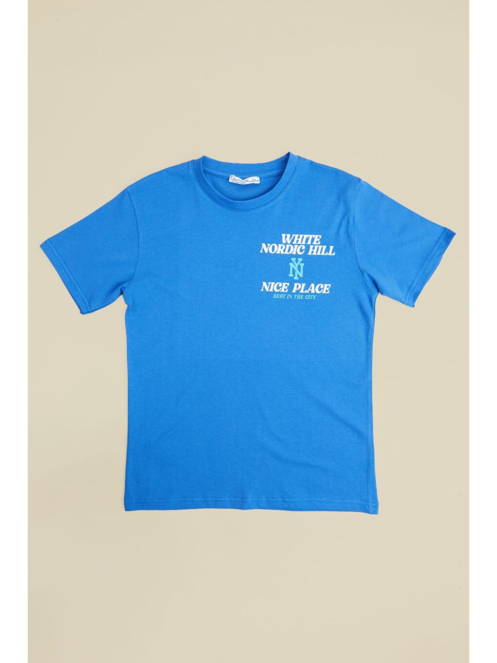Mavi Whıte Nordıc Hıll Yazı Baskılı Erkek Çocuk Tişört