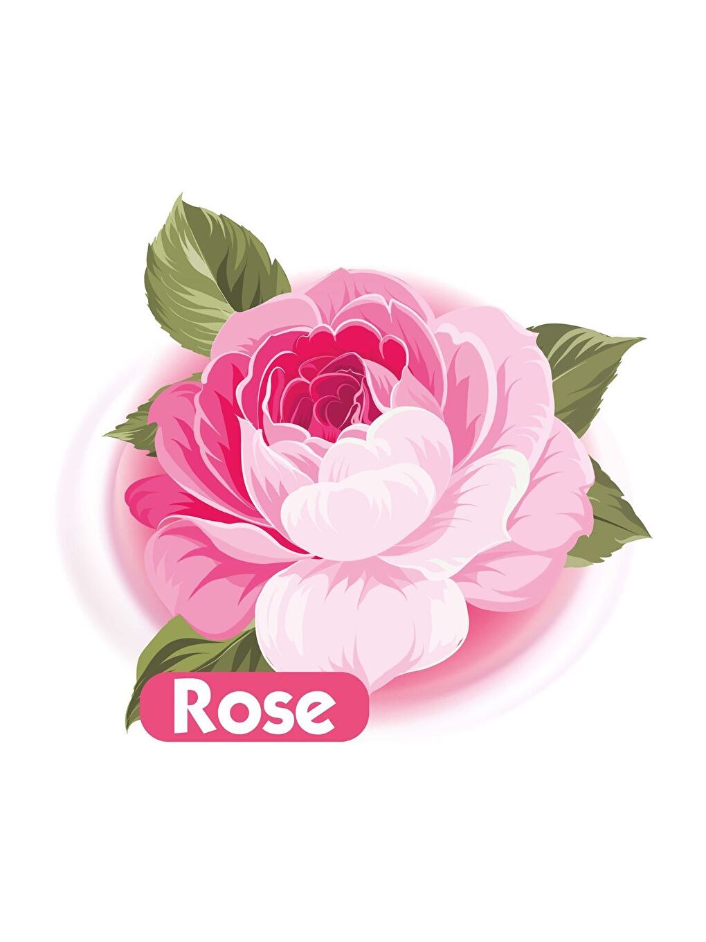 Gül Kokulu Islak Bebek Havlusu 12x90 Adet-2