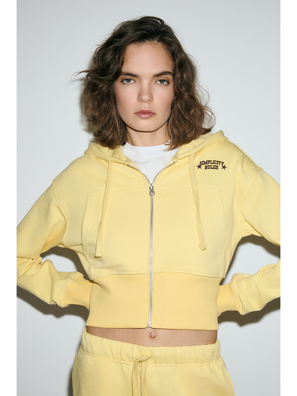 Elara Kadın Metal Fermuarlı Nakışlı Kapüşonlu Crop Sarı Sweatshirt-4