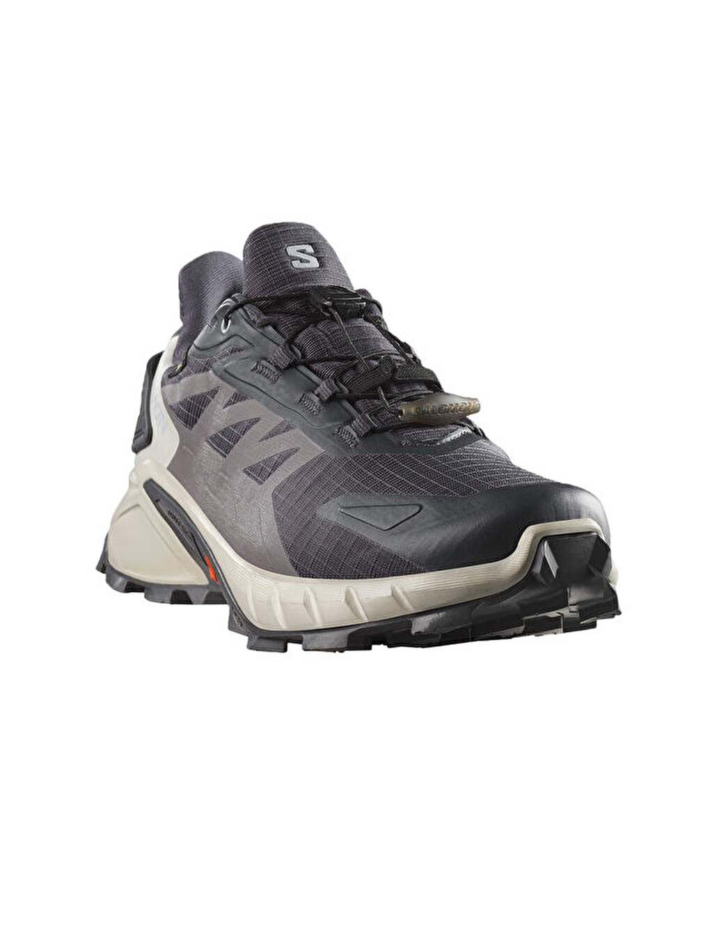 Supercross 4 Gore-tex Kadın Outdoor Koşu Ayakkabısıl47976100 Gri-2